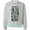 are you kitten me right meow sweatshirt