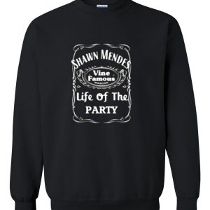 Shawn Mendes life of the sweatshirt