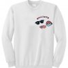 hollister sweatshirt