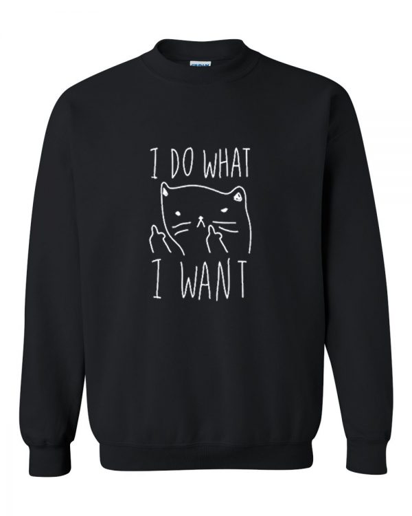 I Do What I Want sweatshirt