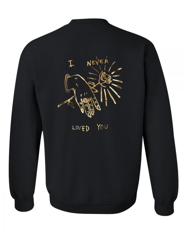 i never loved you sweatshirt back