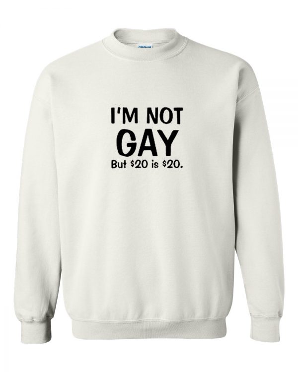 i'm not gay but $20 is $20 sweatshirt