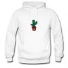 cactus hoodie