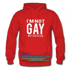 I am Not Gay Hoodie