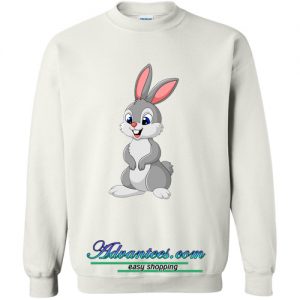 Rabbit cute sweatshirt