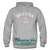 hollister 1922 hoodie