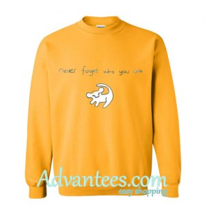 never forget who you are sweatshirt