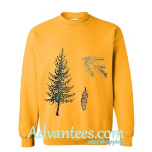 spruce sweatshirt