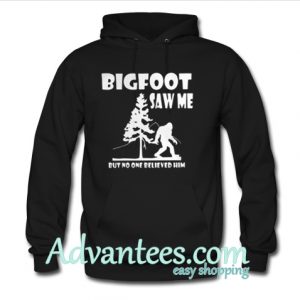 Bigfoot saw me but no one believed him hoodie