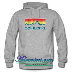 patagonia hoodie