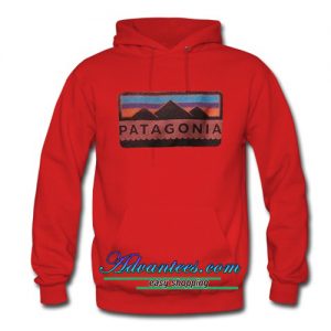 patagonia hoodie