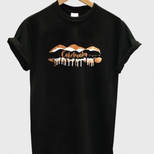 cabeswater t-shirt