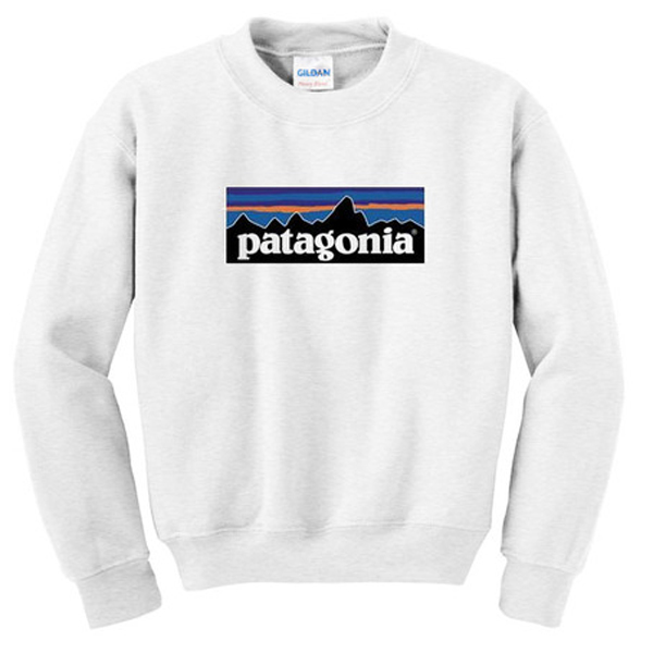 patagonia sweatshirt