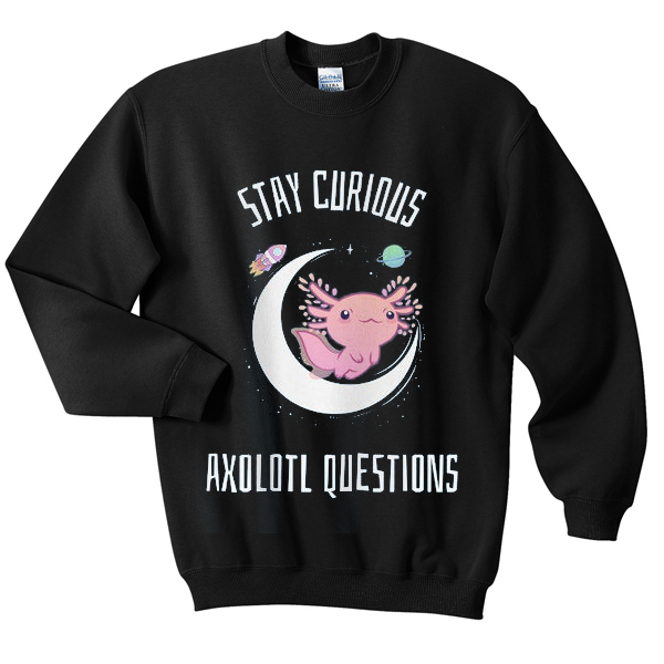 stay curious sweatshirt