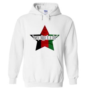 Every Nigga Is A Star Hoodie